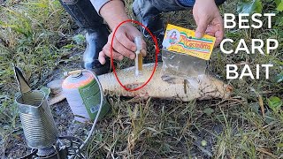 el MEJOR atrayente CASERO para pescar CARPAS hecho de ANIS  best attractant for carp ANIS [upl. by Lluj477]