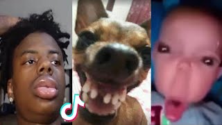 THE FUNNIEST TIK TOK MEMES Of August 2023  Try Not To LAUGH 😂  15 [upl. by Niret]