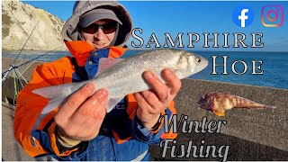 Fishing Samphire Hoe Winter Species Hunt [upl. by Naam397]