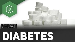 Diabetes mellitus – Die Zuckerkrankheit [upl. by Mackenzie]