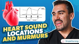 Heart Sound Locations amp Murmurs for Nursing  Cardiac Assessment [upl. by Wettam345]