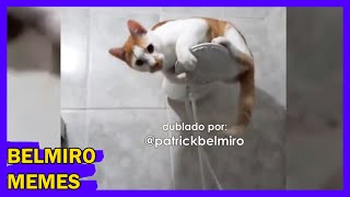 Belmiro Memes Dublagens de animais engraçados  Episódio 112 [upl. by Nikolas682]