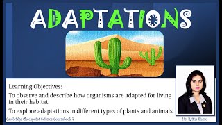 ADAPTATIONS  LIVING THINGS IN THEIR ENVIRONMENT  SCIENCE RESOURCES  IGCSE  YEAR 7 [upl. by Matejka]