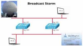 Broadcast Storm CCNA Complete Video Course Sample [upl. by Nanah]