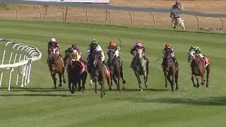 2024 Albury Gold Cup [upl. by Hecht]