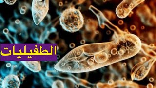 تحليلات parasite 1 Ehistolytica part 1 [upl. by Salakcin490]