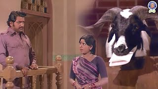 Indha Aaddu 🐐 dhaan sachi ah 😱😨😳 Aatukara Alamelu  Siva Kumar  Sri Priya  Nagesh rajshritamil [upl. by Hannon]