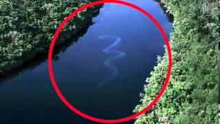 The Biggest Snake In The World a 75 foot anaconda 3982118 Views [upl. by Ortiz]