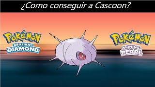 Como conseguir a Cascoon en Pokemon Diamante Brillante y Perla Reluciente [upl. by Noimad]