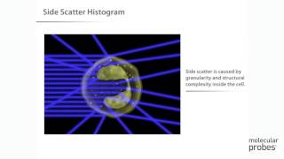 Molecular Probes Tutorial Series—Introduction to Flow Cytometry [upl. by Nelan]