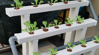 Preparing Hydroponic Fodder Seeds [upl. by Llennhoj]