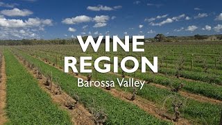 WINE REGION  Barossa Valley Shiraz [upl. by Winou]