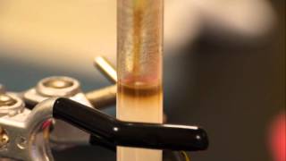 Anion Exchange Chromatography  separating haemoglobin and catalase [upl. by Merilee]