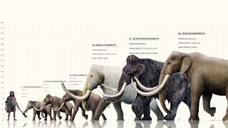 The 11 Different Types Of Mammoths [upl. by Forest]