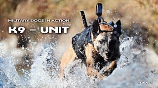 K9 Dog Units  Military Dogs In Action Military Motivational [upl. by Rossen]