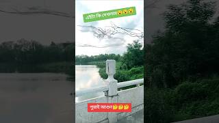 এইটা কি দেখলাম আমি🤔🤔🤔 shorts reels viralvideo tending viralshort viralreels [upl. by Olocin]