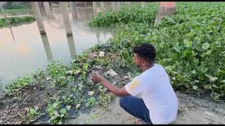 Best hook fish catching video in local village river  2024 unique hook fish video today 178 [upl. by Faletti]