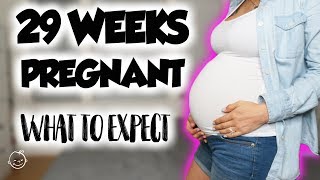 29 WEEKS PREGNANT  What To Expect [upl. by Aneleve]