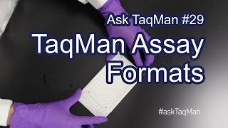 TaqMan Assay Formats Explained  Ask TaqMan 29 [upl. by Neirual335]