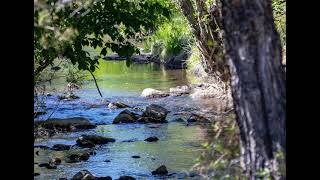 Leaves on a stream exercise [upl. by Nylrahc]