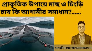 প্রাকৃতিক উপায়ে মাছ ও চিংড়ি চাষ কি আগামীর সমাধান Is organic aquaculture is the future aquaculture [upl. by Dacie]