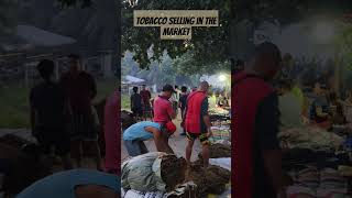 Tabako Bagsakan sa Laguindingan bagsakan laguindingan tobacco tobaccofarming tobaccoselling [upl. by Dracir431]