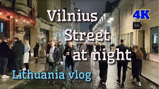 Travel to Lithuania  Vilnius 4K  Vilnius street at night  2024 [upl. by Hatnamas341]