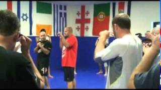 Fedor MMA Boxing Fundamentals [upl. by Klug43]