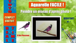 TUTO  REALTIME  Peindre un oiseau daprès Photo [upl. by Eiramlehcar]