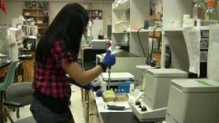 Part 1 A day in the life of RedToL NSF REU biology student Shana Callais [upl. by Ganny335]