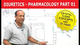 Diuretics  Pharmacology  Part 13 [upl. by Meehar]