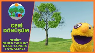 GERİ DÖNÜŞÜM NEDİR NEDEN VE NASIL YAPILIR  OKUL ÖNCESİ DÜNYA ÇEVRE GÜNÜ [upl. by Jamilla]