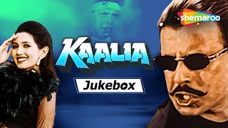 Kaalia 1997 Movie Audio Jukebox  Mithun Chakraborty  Dipti Bhatnagar  Kavita Krishnamurthy [upl. by Mei]