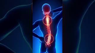 Disc slip Pain  Dr Sudhir Nagar 9773886380 [upl. by Krenn]