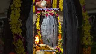 Lingashtakam  Lord Shiva Songs  Brahma Murari Surarchita Lingam  Hindi Devotional Songs shiv [upl. by Latif967]