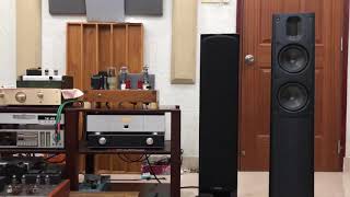 Scansonic speaker MB25B amp 300B SE tube amplifier 5693 driver Cát bụi Hoà tấu Kèn Disc Class A [upl. by Ling]