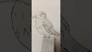 Kingfisher Drawing youtubeshorts pls like share and subscribe [upl. by Jemmy]