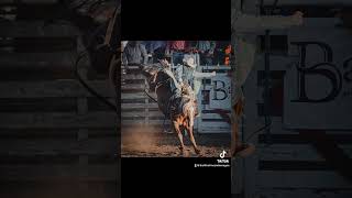 Rodeo Photography 🤠 countrylife 4thofjuly [upl. by Cathey]