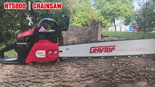 55cc Gasoline Chain Saw NT5800 with 16”24” Bar Length SemiPro Wood Cutting Tools chainsaw [upl. by Maisel259]