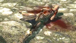 Skyrim BLOOD and GORE mod [upl. by Goldarina659]