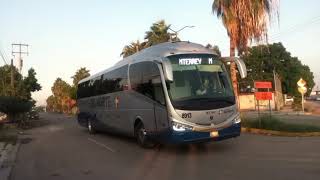 Autobuses de diferentes lineas en la central camionera torreon [upl. by Gagne]