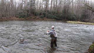 The Return To Penns Creek  Plus Bonus Footage  Fly Fishing For Finicky Browns LANDED A BIG BOY [upl. by Toback643]