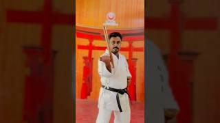 Tonfa 2 Basic Kihon By Master Rajeev at IBSKA  2 Kobudo Tonfa weapon Kihon karate kobudo [upl. by Geri]