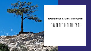 How your DNA affects your resilience at work  Leadership for Resilience Part 3 [upl. by Gannie]