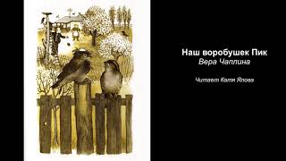 Наш воробушек Пик  Вера Чаплина  Читает Катя Ялова  Аудиокнига [upl. by Karoly]