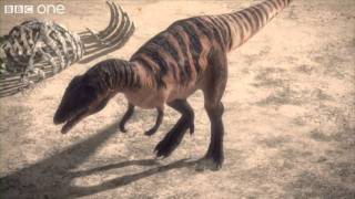 Carcharodontosaurus  Planet Dinosaur  Episode 1  BBC One [upl. by Ical980]