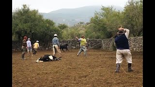 YERRA en CALAMUCHITA  2da USINA  Año 2016 [upl. by Enelad390]