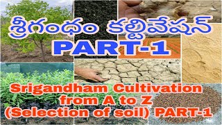 Bavistin Fungicide Full Details in Telugu by httpswwwyoutubecomcinnovativefarmingtelugu [upl. by Ahtamas]