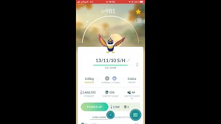 Shiny Chatot In Pokémon Go [upl. by Eelano]