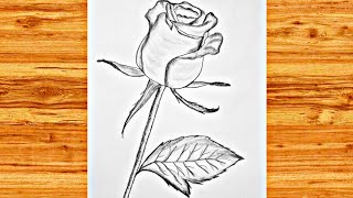 How to draw a beautiful RosePencil Sketch [upl. by Oilenroc]